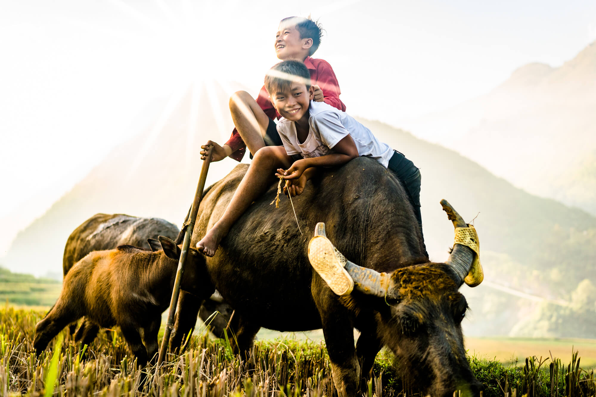 Northern Vietnam 2017