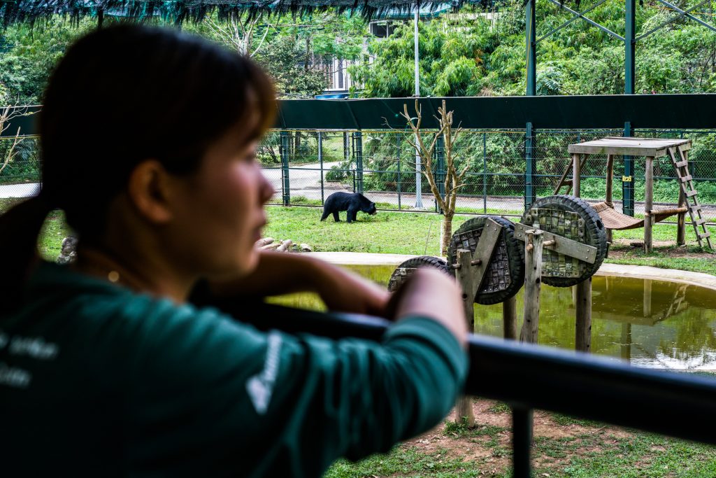 A female care take of bears at a sanctuary in northern Vietnam