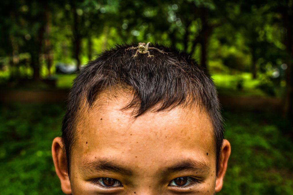 A young boy with a gecko on his head
