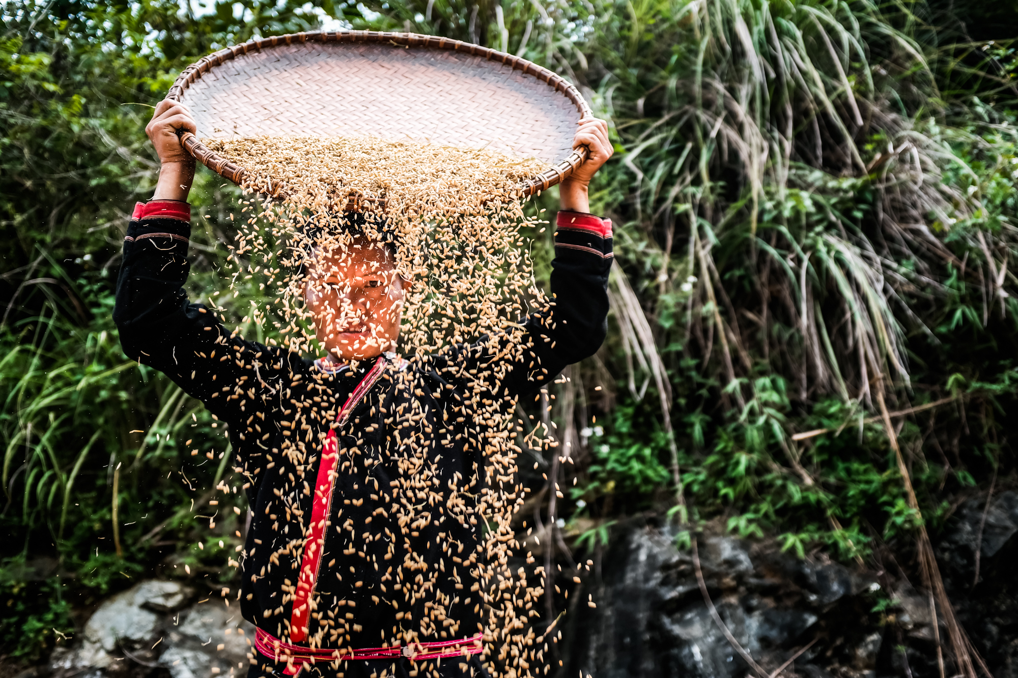 An ethnic minority woman works with rice on the roadside in northern Vietnam
